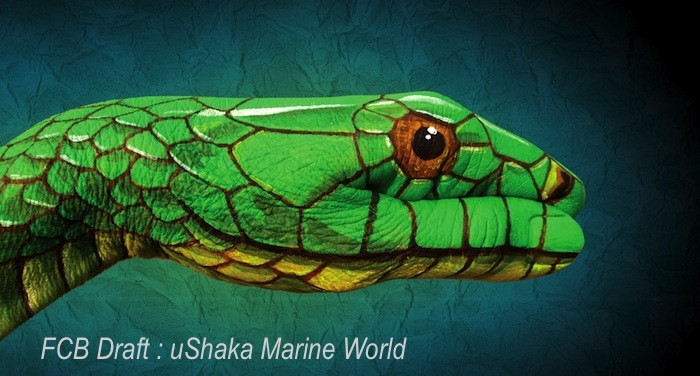 04 FCB Draft uShaka Marine World Green Mamba